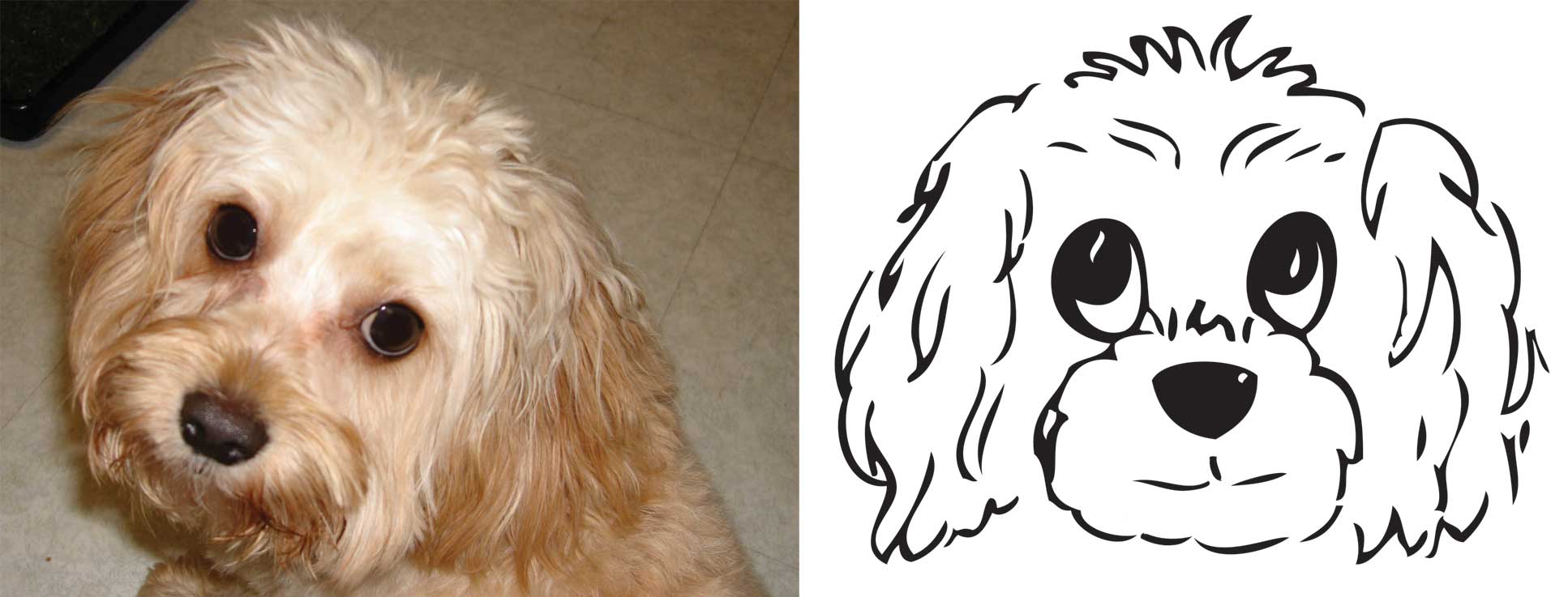 charlie.jpg