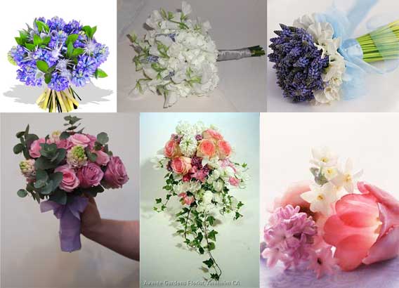 hyacinths.jpg