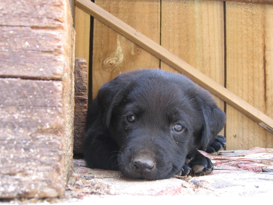 winston-blog03.jpg