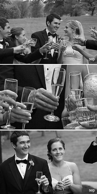 toast1 wedding toast