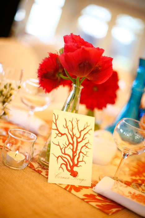 lyndseymatt599 coral reception