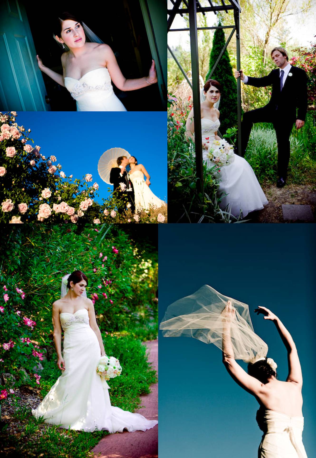 loribrian1 vinyard wedding california
