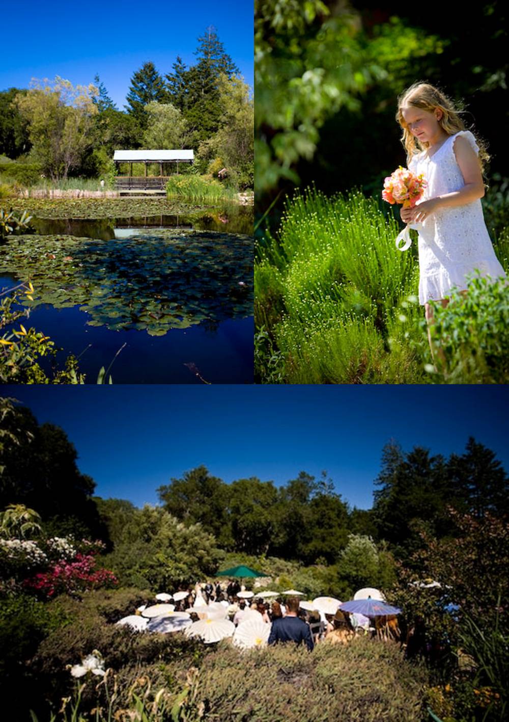 loribrian3 vinyard wedding california