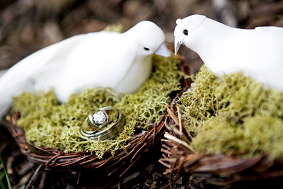 birdsnest ring pillow