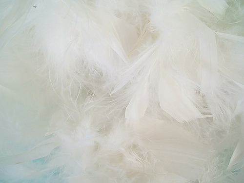 And one amazing idea for a featherthemed wedding line your aisle with 