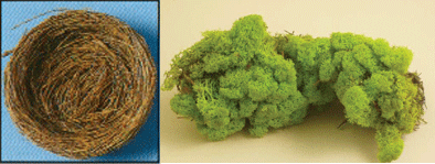 diy birds nest ring pillow