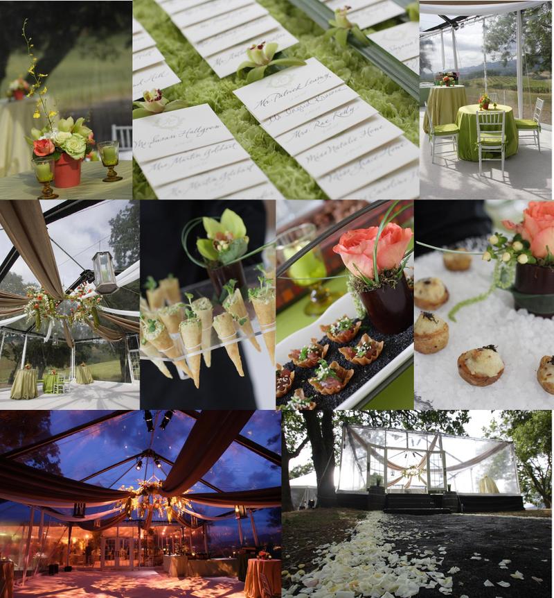 sparkliatti sasha souza events