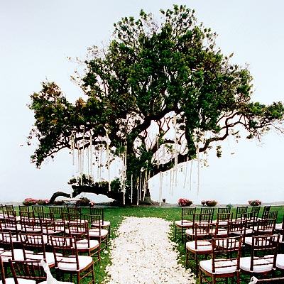 This is one of the many reason's I adore Southern Weddings GORGEOUS