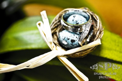 birds nest favor