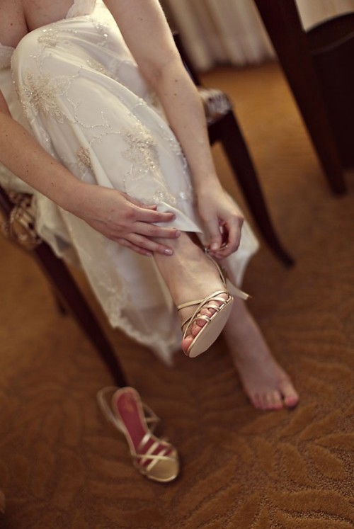 claire pettibone lucia