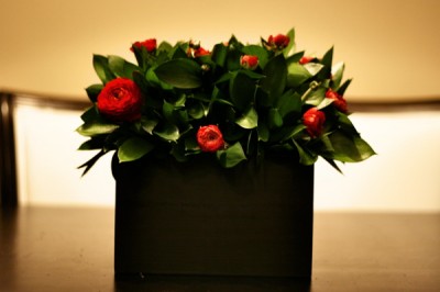 red and green centerpiece red and green centerpiece