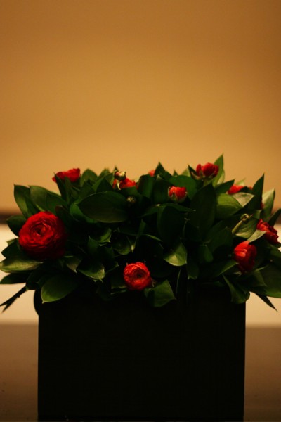 red and green centerpiece red and green centerpiece