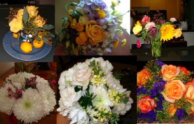 DIY flower samples