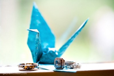 crane-ring-shot crane-ring-shot