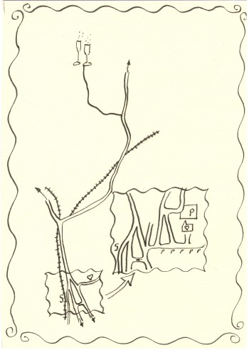The Map