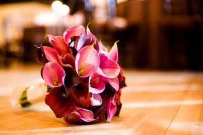 i_0071 i_0071