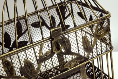 birdcage3
