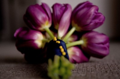 blogbouqet