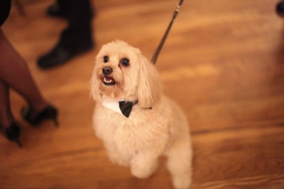 charlie1