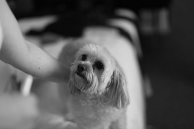 charlie3