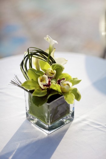 orchid-centerpiece