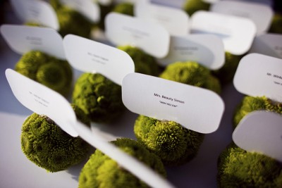 pomander-escort-cards