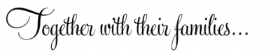 feel script wedding invitation font