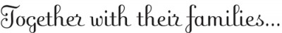fling-font
