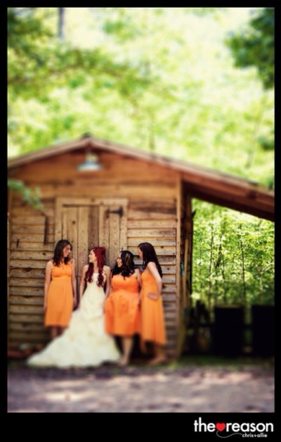 photo-3-3