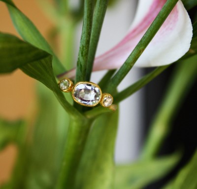 ringshot_contrast