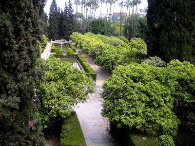 view2