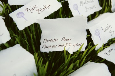 heather-escort-cards-wheatgrass1