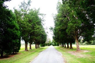 lane