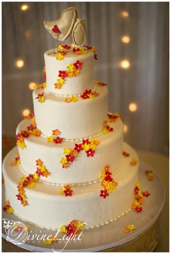 orange-and-yellow-cake