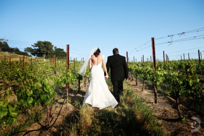 sonoma-wine-country-wedding-18 sonoma-wine-country-wedding-18
