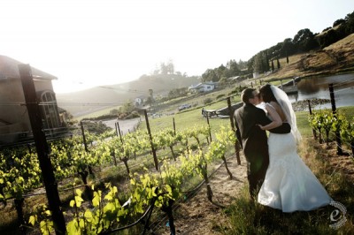 sonoma-wine-country-wedding-19 sonoma-wine-country-wedding-19