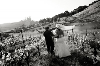 sonoma-wine-country-wedding-31 sonoma-wine-country-wedding-31