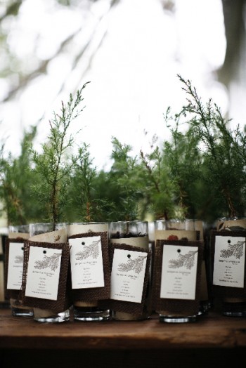 trees