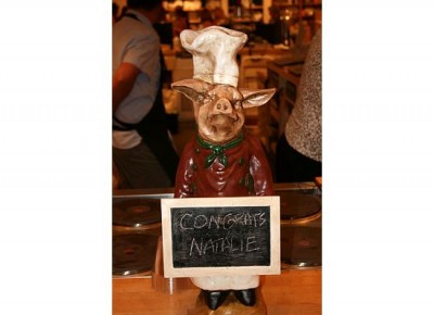 welcome-pig