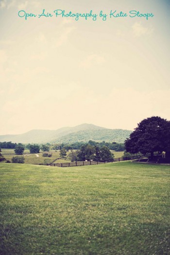 farm-wedding-in-dc farm-wedding-in-dc