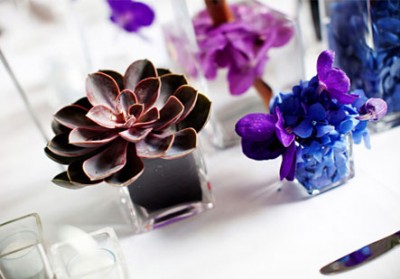 succulent-centerpieces