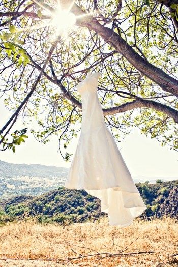 bridal-gown-hanging-from-tree-mark-brooke