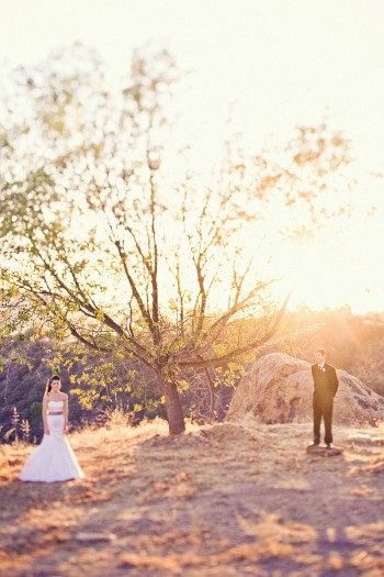 bride-and-groom-under-tree-ojai-wedding