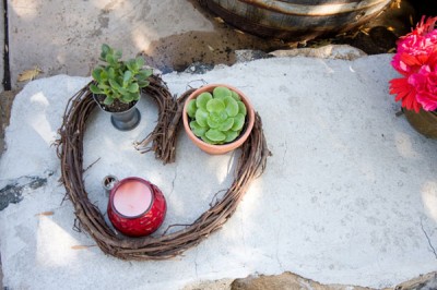 potted-herbs-plants-wedding potted-herbs-plants-wedding