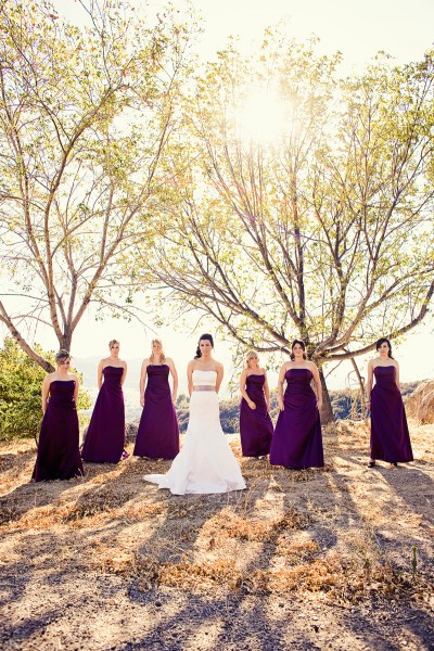 strapless-purple-bridesmaid-dresses