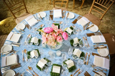 blue-linens-pink-centerpieces-wheatgrass-place-cards blue-linens-pink-centerpieces-wheatgrass-place-cards