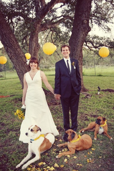bride-and-groom-with-dogs-yellow-diy-wedding bride-and-groom-with-dogs-yellow-diy-wedding