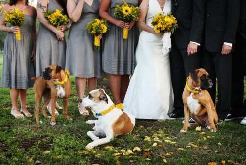 gray-and-yellow-wedding-bridesmaids gray-and-yellow-wedding-bridesmaids