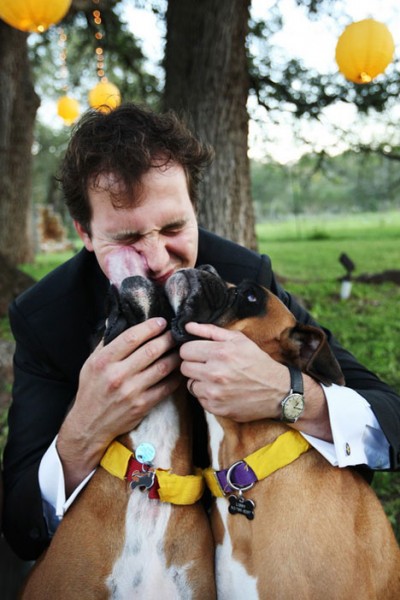 groom-with-dogs-diy-ribbon-collars-wedding groom-with-dogs-diy-ribbon-collars-wedding