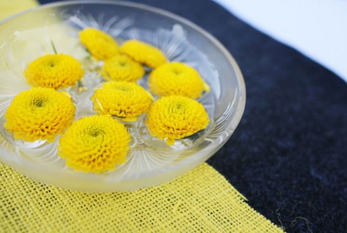 mums-floating-in-water mums-floating-in-water